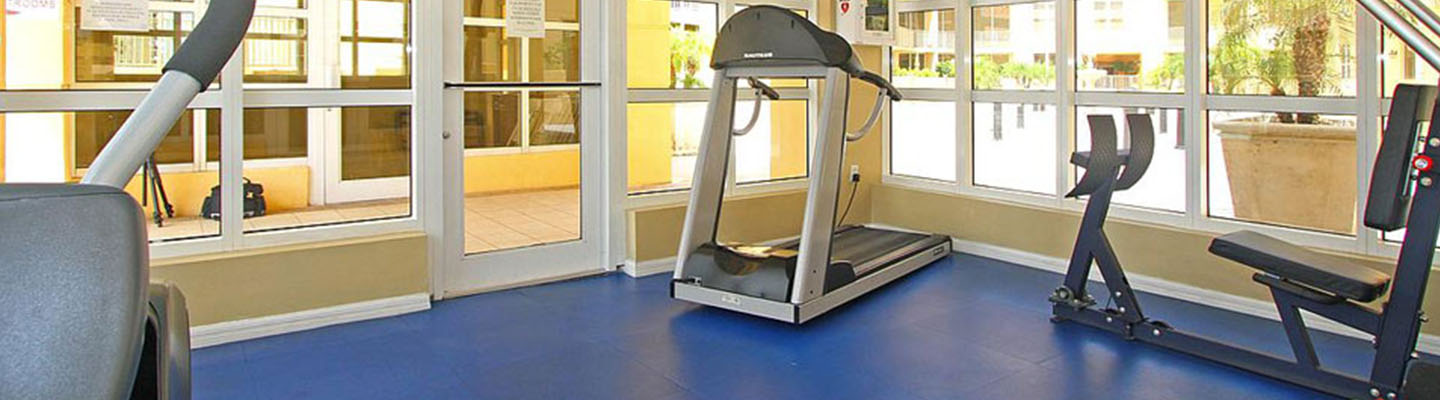 Minoca Gym